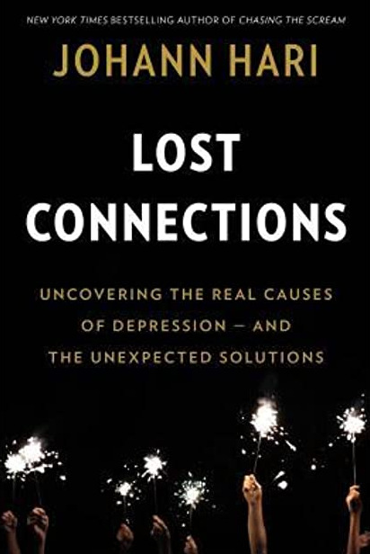 Cover of Lost Connections