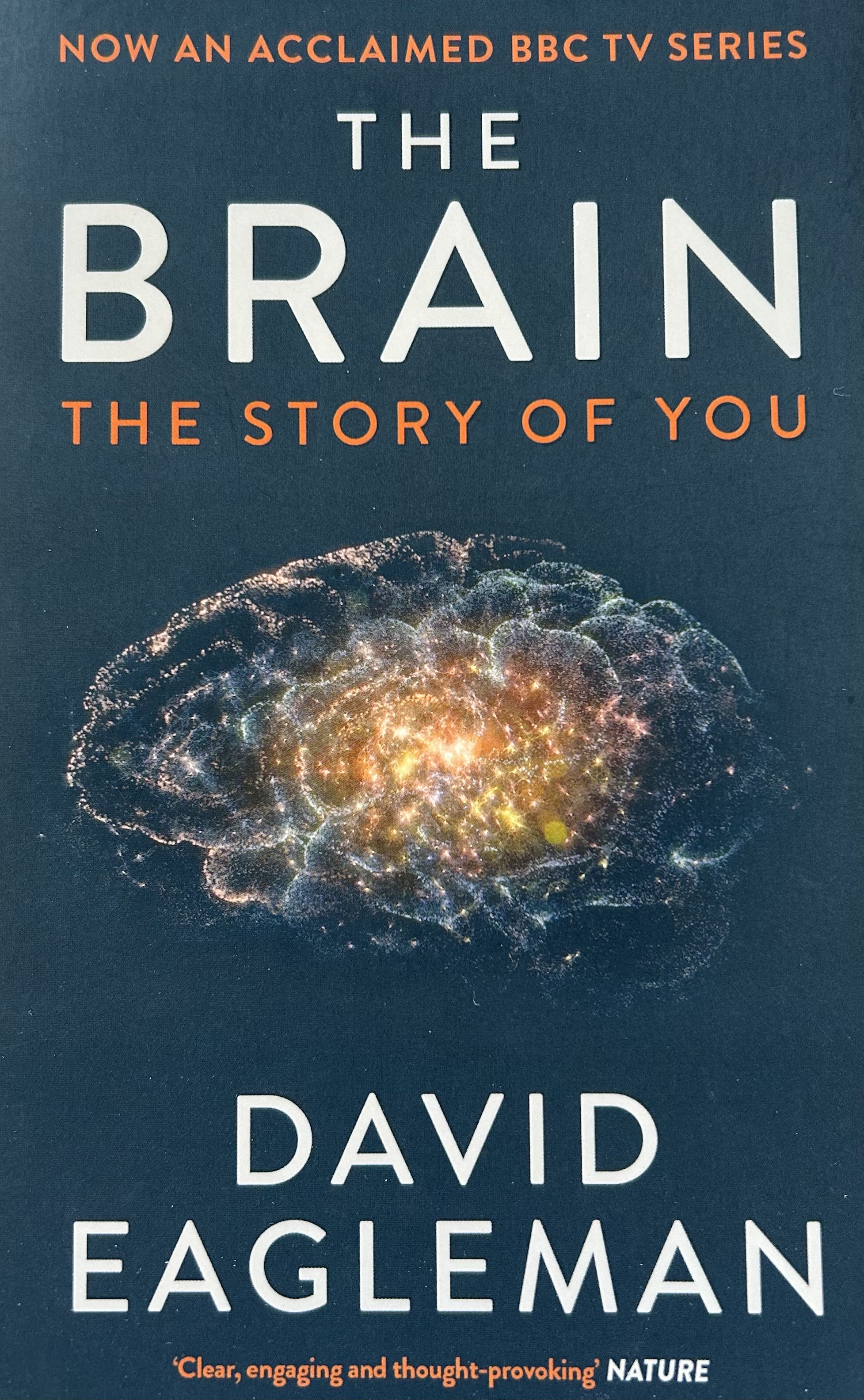 Cover of The Brain