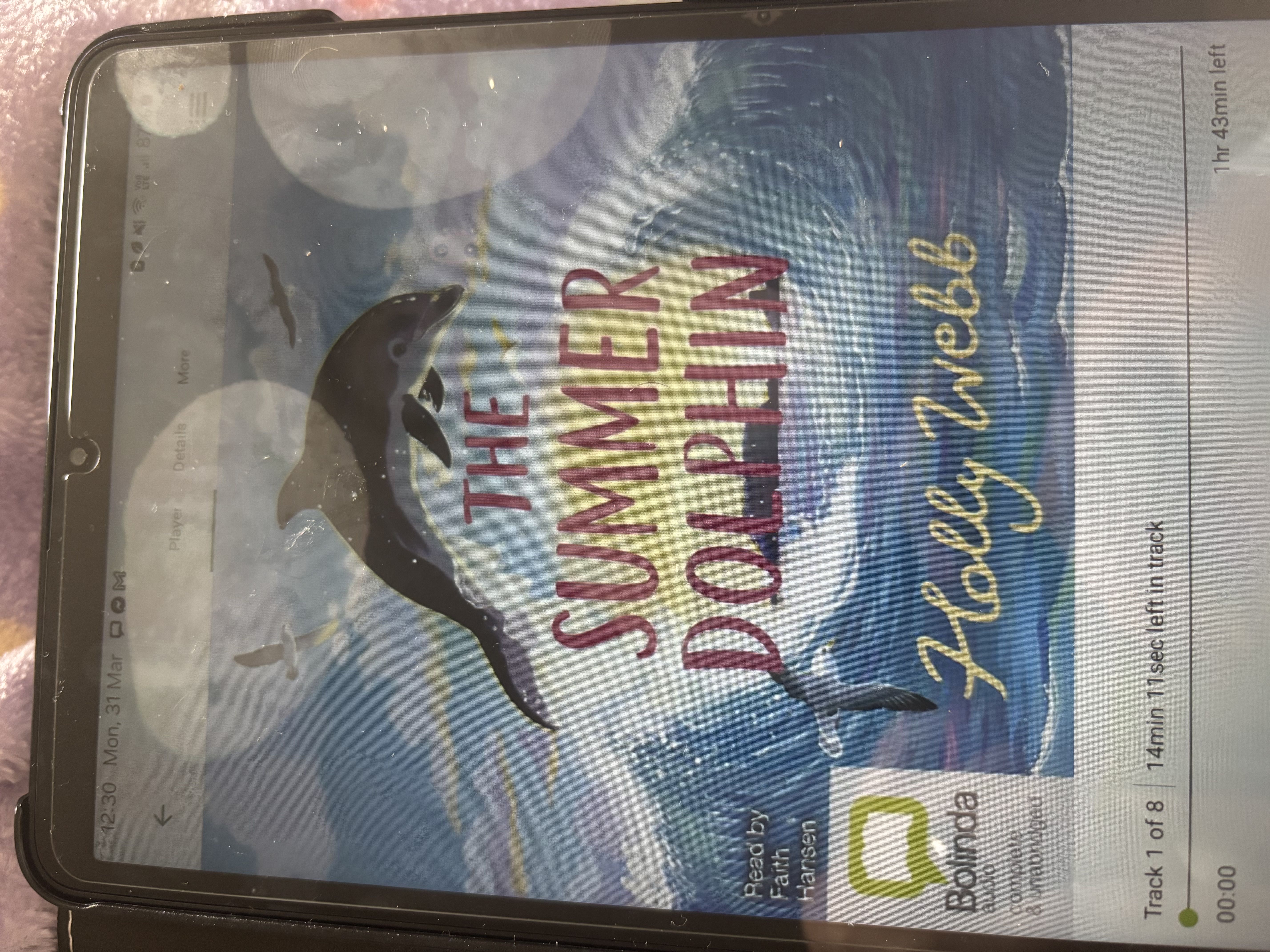 Cover of Summer Dolphin